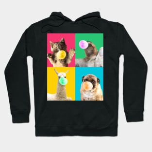 Bubble Gum Pop Hoodie